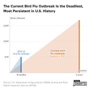 The Current Bird Flu Outbreak Is the Deadliest, Most Persistent in U.S. History